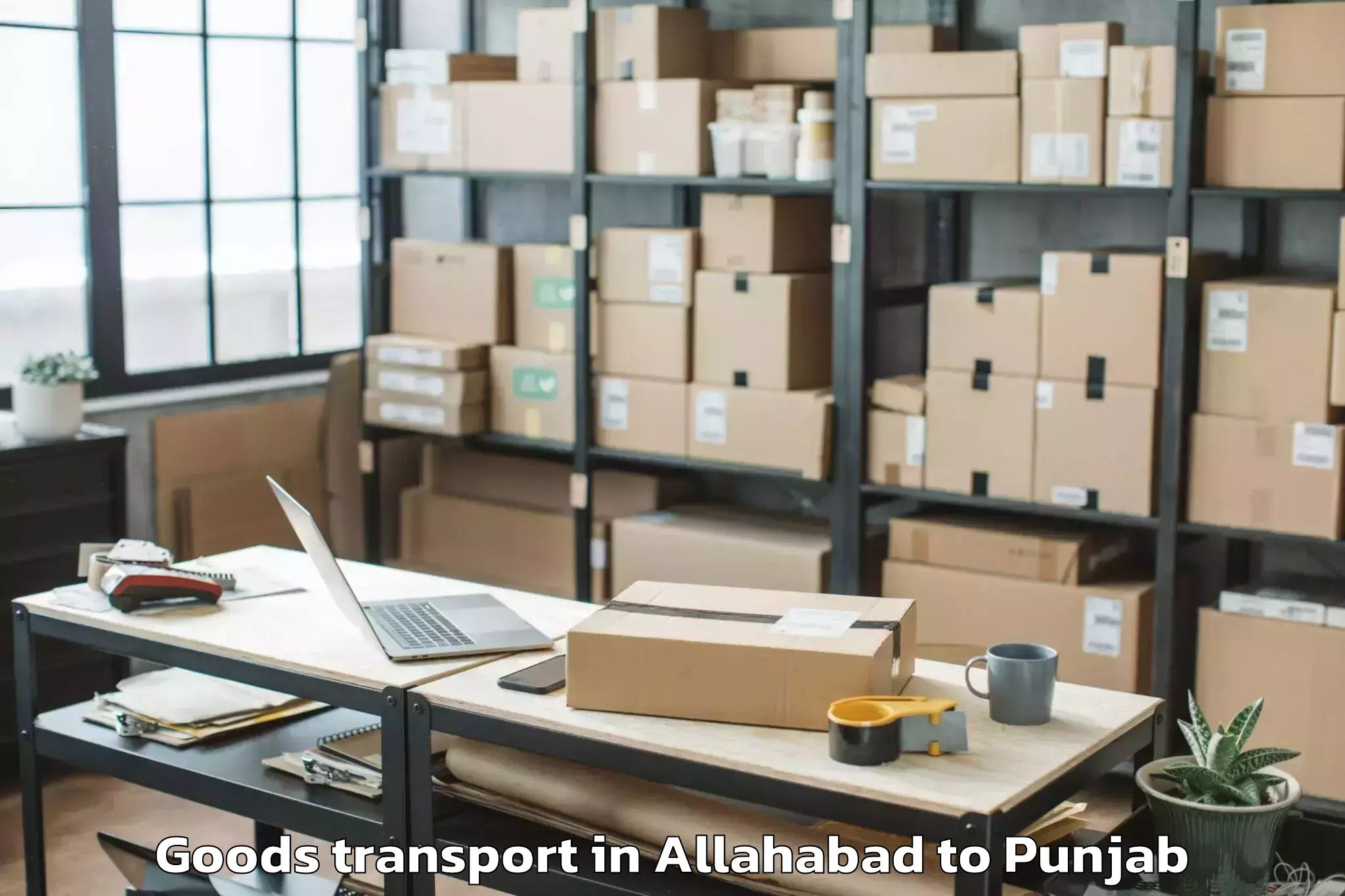 Expert Allahabad to Dhanaula Goods Transport